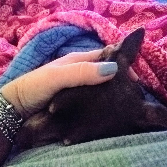 Meet your Posher, Judy - Picture 2 of 12